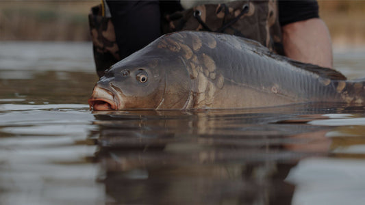 Let's pursue the pure joy of fishing together.