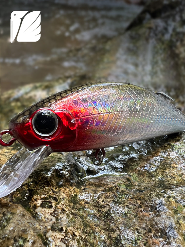 Sinking Minnow 110.77.rs, Rapid settlement with tongue plate.