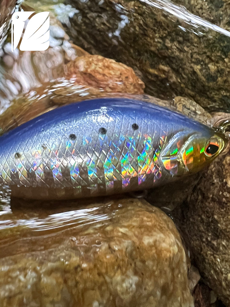Lureel Suspending Minnow SM.65.09.PR