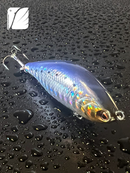 Suspending Minnow 63.91.bs, Bionic posture for the whole scene