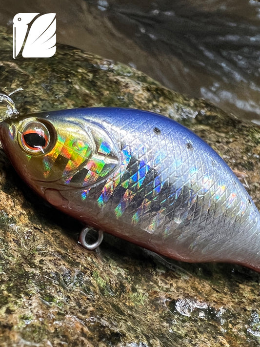 Lureel Suspending Minnow SM.65.09.PR