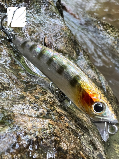 Sinking Minnow F93.75.BS