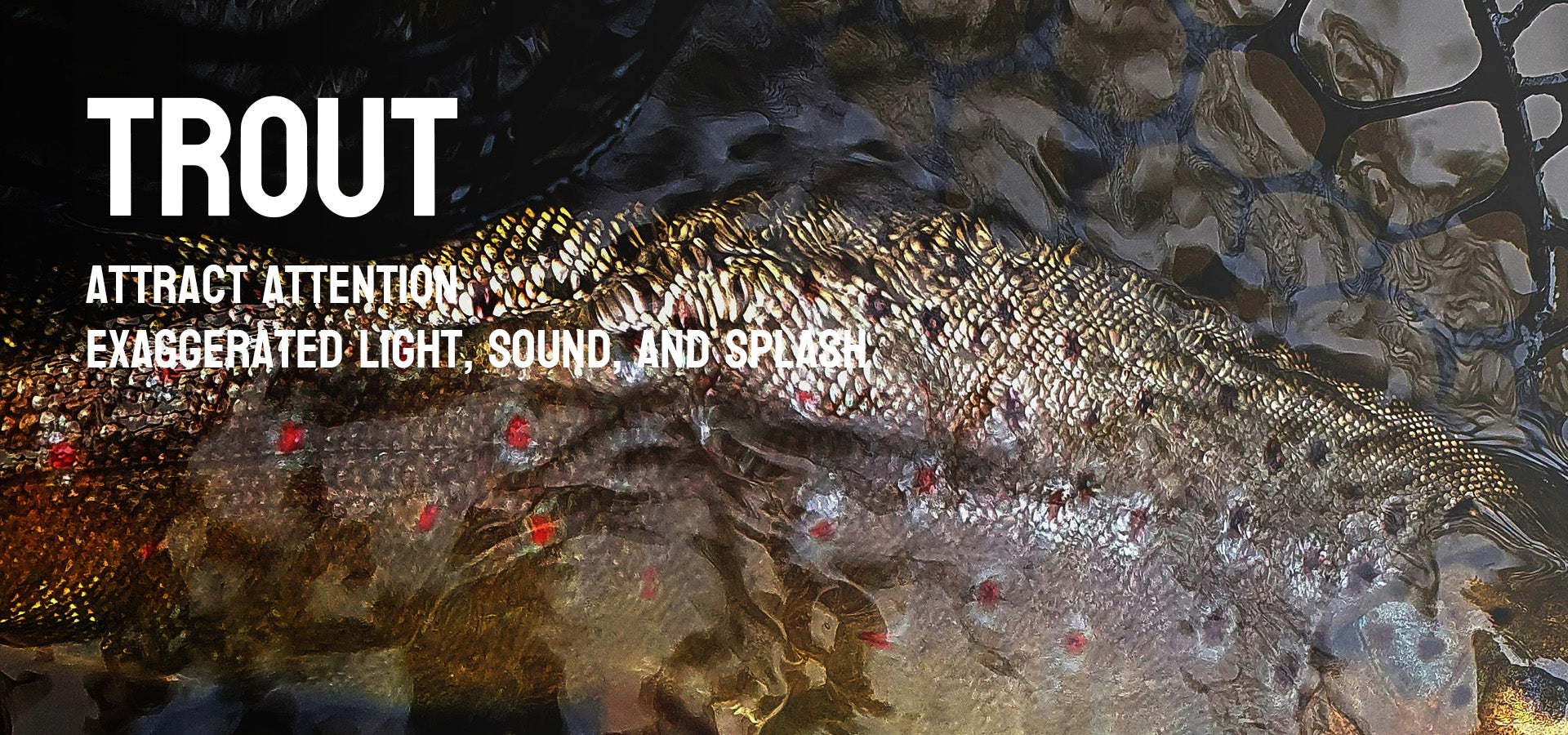 bionic lures of trout by lureel